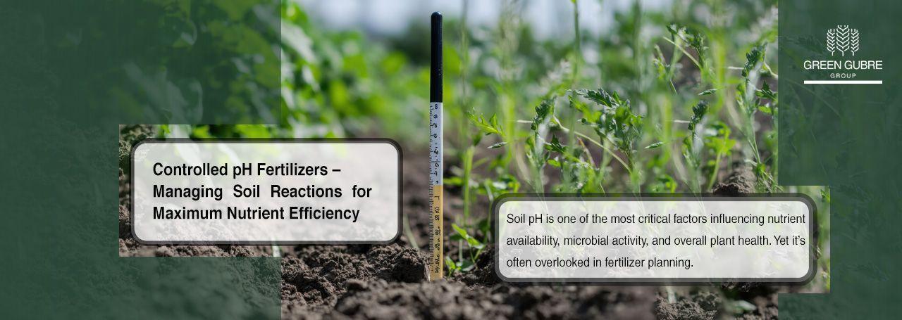 Controlled pH Fertilizers – Managing Soil Reactions for Maximum Nutrient Efficiency