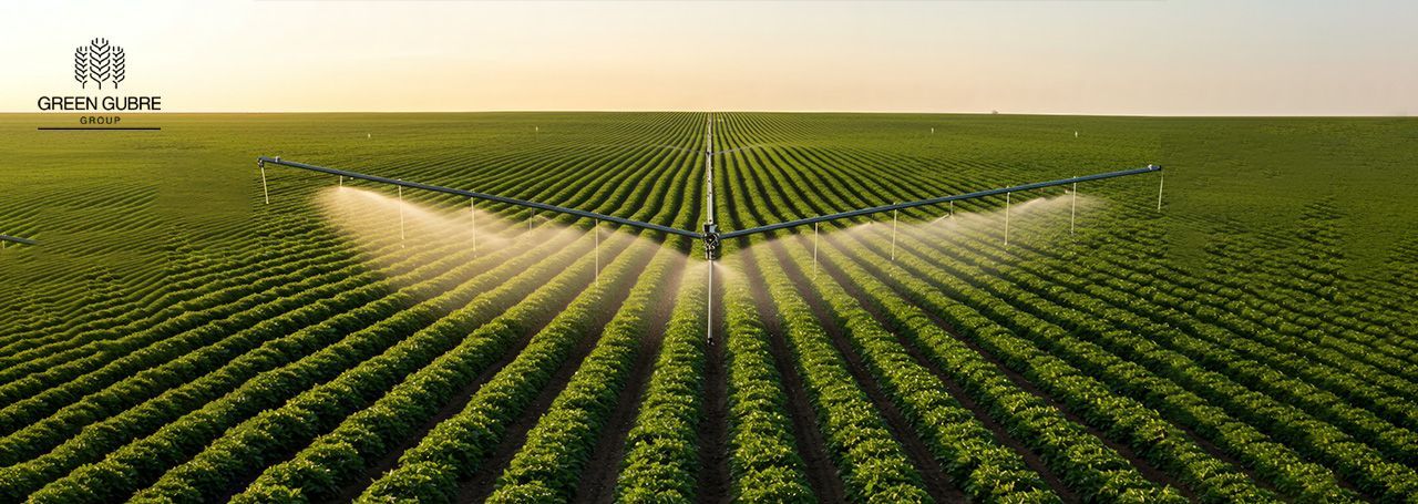 Fertilizers and Water Use Efficiency – Feeding Crops While Saving Every Drop