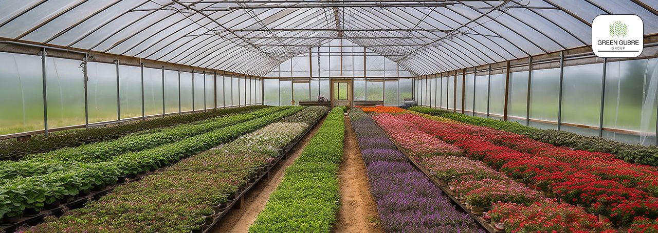 Fertilizers for Greenhouse Agriculture – Precision Feeding for High-Value Crops