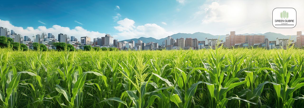 Fertilizers and Nutrient Synergy – Maximizing Efficiency Through Smart Combinations