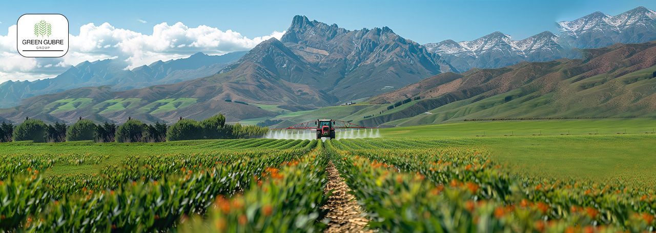 Water-Soluble NPK Fertilizers – Precision Feeding for Modern Agriculture