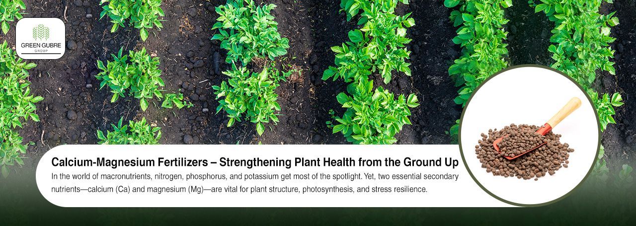 Calcium-Magnesium Fertilizers – Strengthening Plant Health from the Ground Up