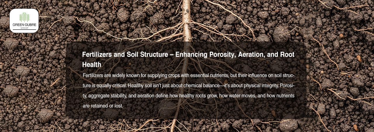 Fertilizers and Soil Structure – Enhancing Porosity, Aeration, and Root Health