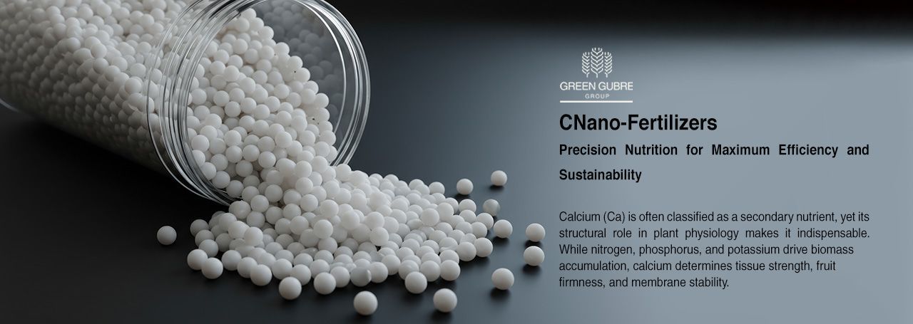 Nano-Fertilizers – Precision Nutrition for Maximum Efficiency and Sustainability
