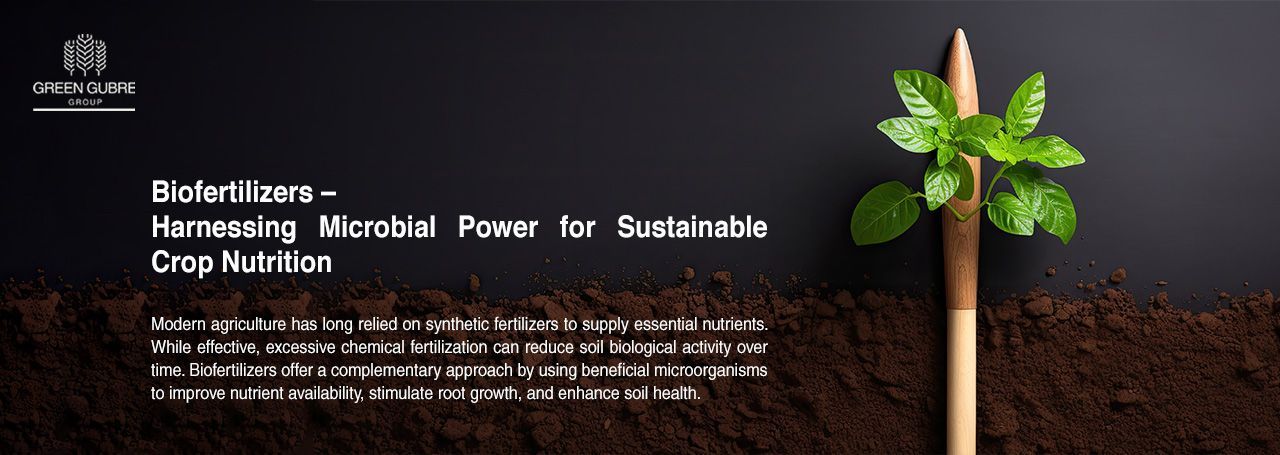Biofertilizers – Harnessing Microbial Power for Sustainable Crop Nutrition
