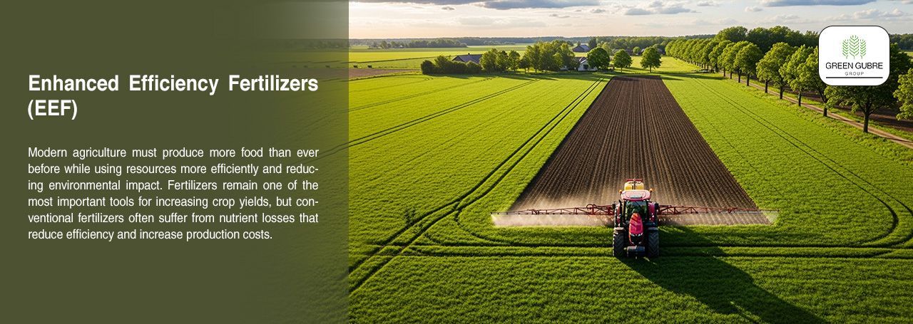 Enhanced Efficiency Fertilizers (EEF) – Improving Crop Nutrition and Sustainability