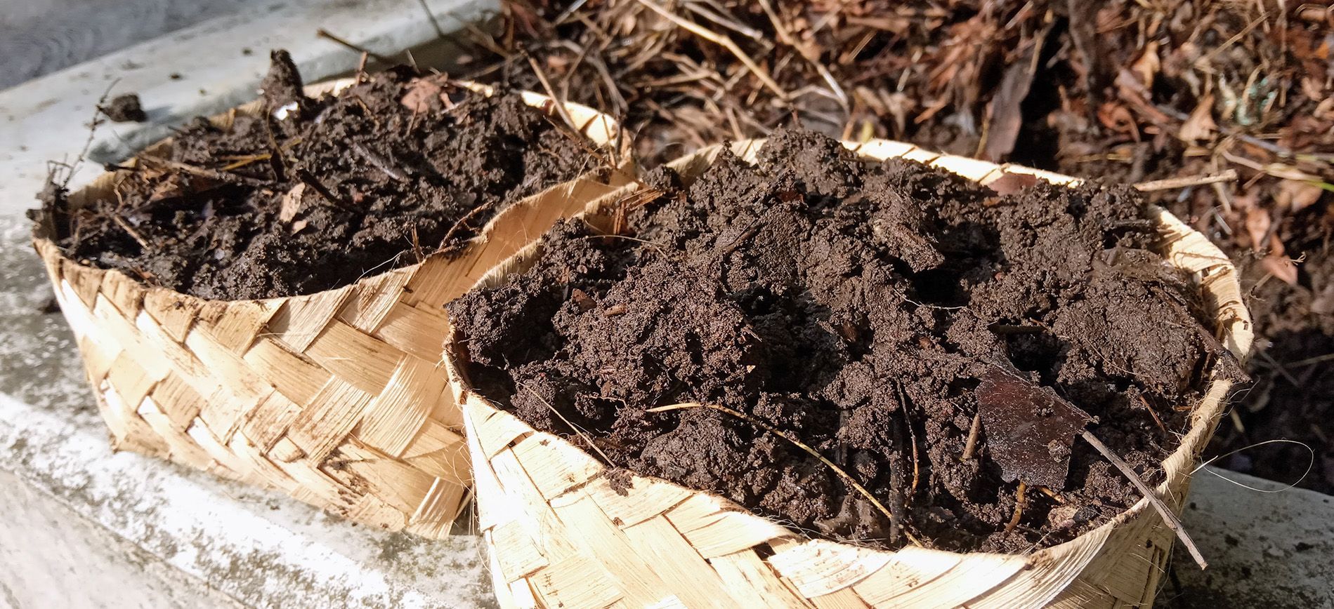 Slow-release fertilizer granules supplying nutrients gradually to crop roots.
