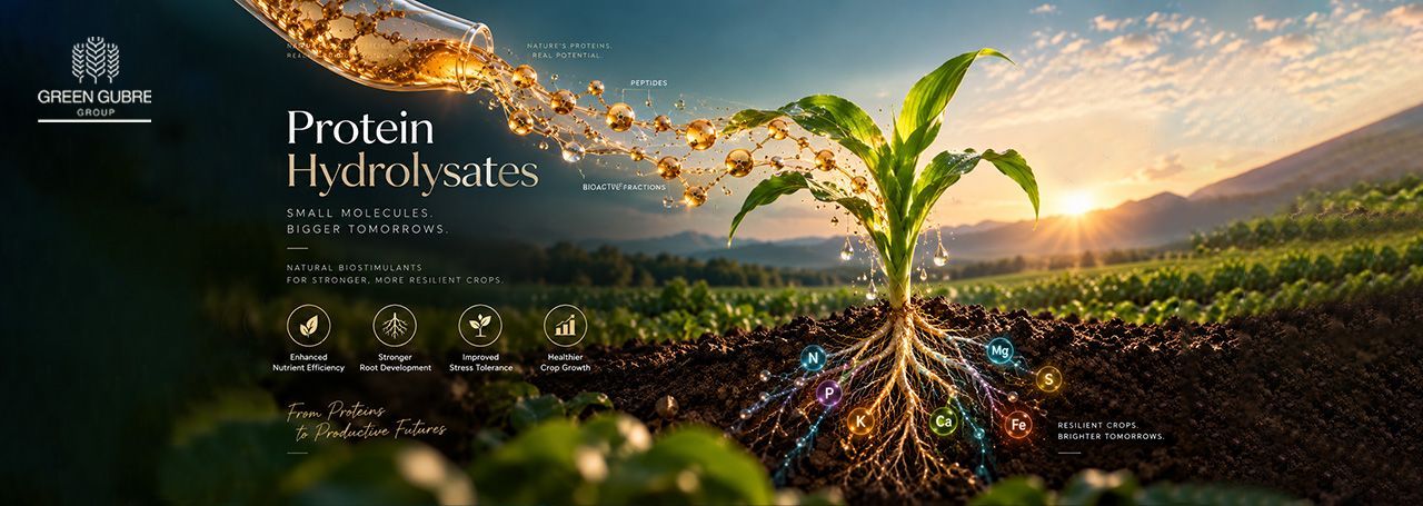 Protein hydrolysate biostimulants for crop nutrition