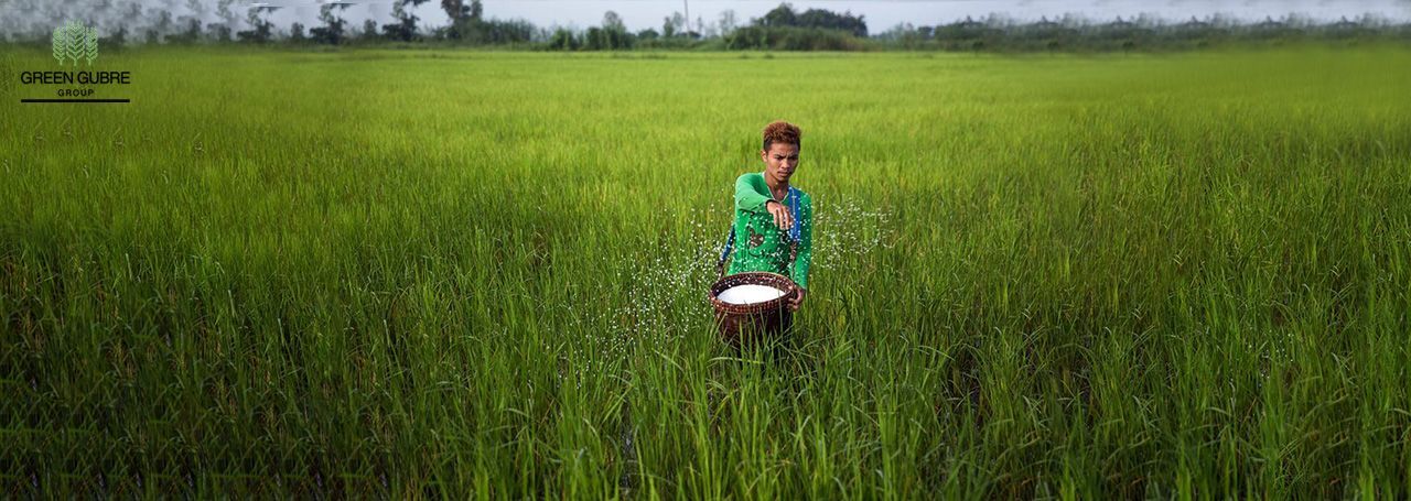 Why Urea 46% is Key for Sustainable Agriculture in Africa