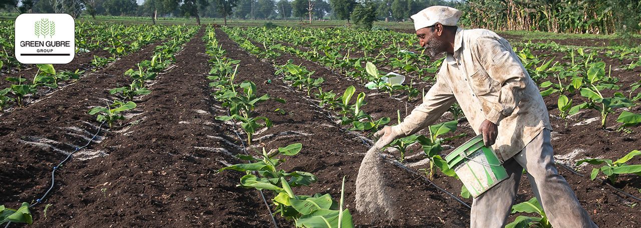 Innovative Approaches to Fertilizer Distribution in Africa