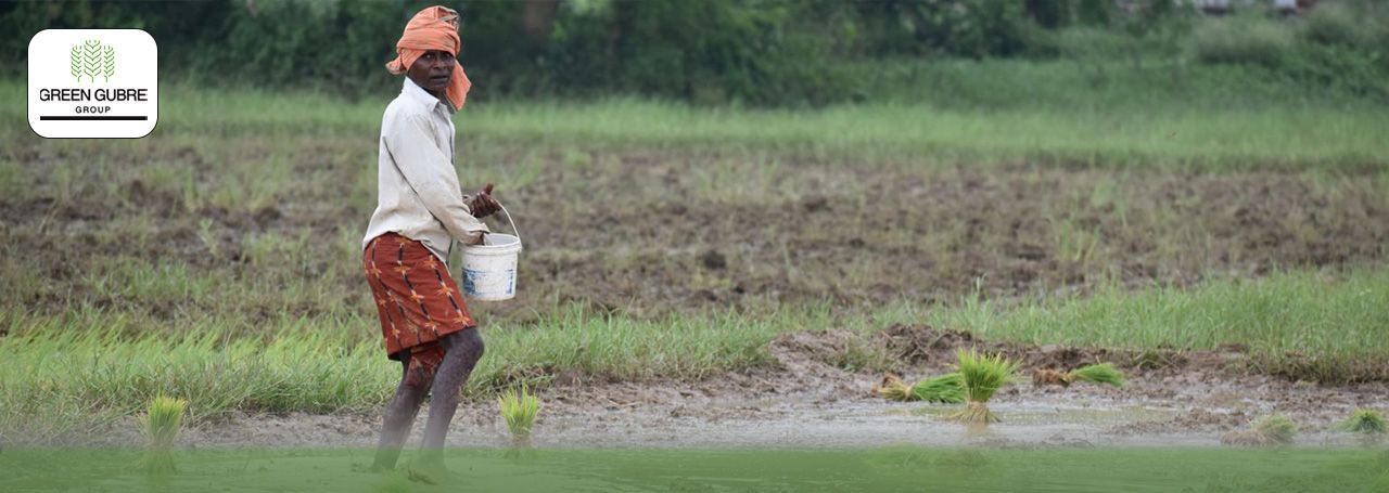Leveraging NPK Fertilizers to Boost Crop Yields in Africa and India