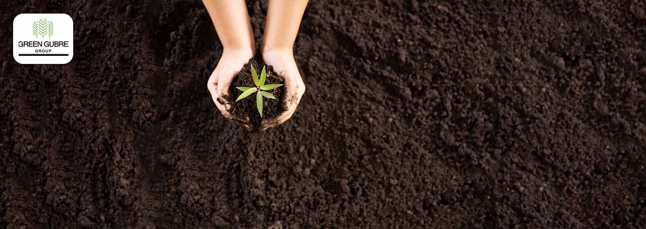 The Rising Demand for Organic Fertilizers in Africa and India