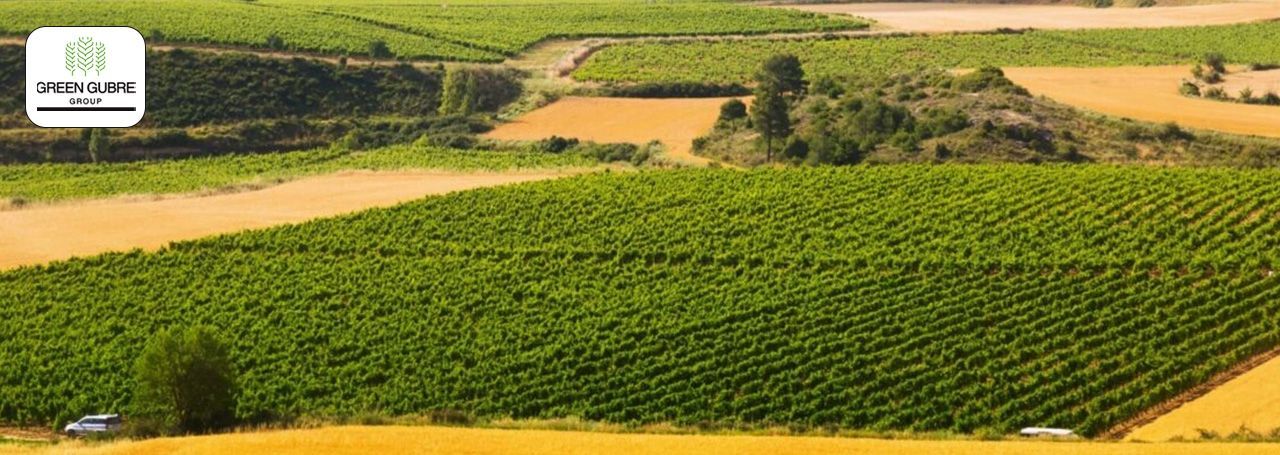 The Power of Cooperatives in Supporting Smallholder Farmers in India