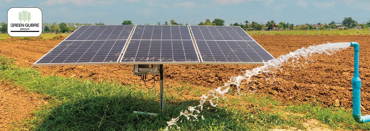 Renewable Energy: Powering Sustainable Agriculture in India
