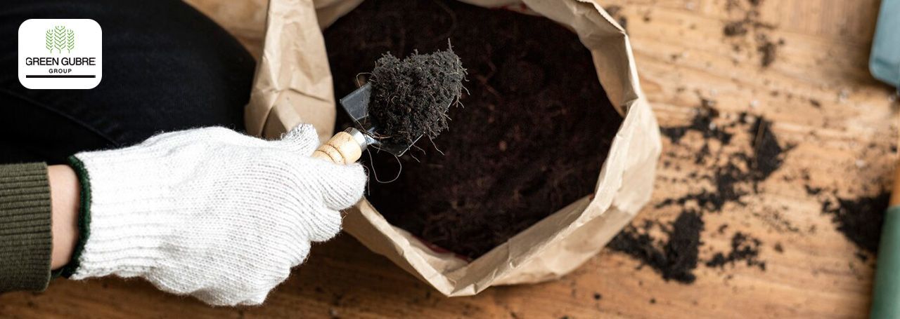 Sustainable Fertilizers: The Future of Global Agriculture