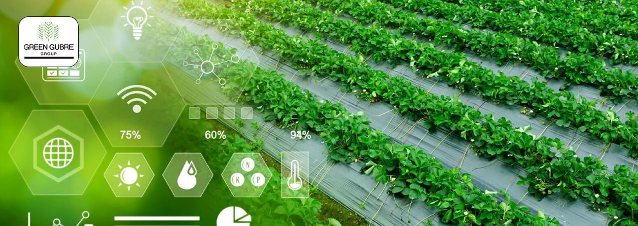 Fertilizer Innovations for Climate-Smart Agriculture: A Sustainable Future