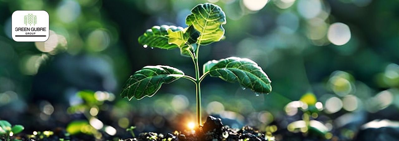 The Role of Data-Driven Insights in Optimizing Fertilizer Use