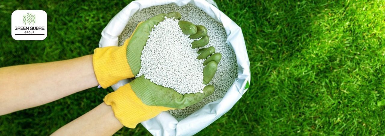 Fertilizer Market Innovations:
Exploring Eco-Friendly Alternatives for Sustainable Agriculture