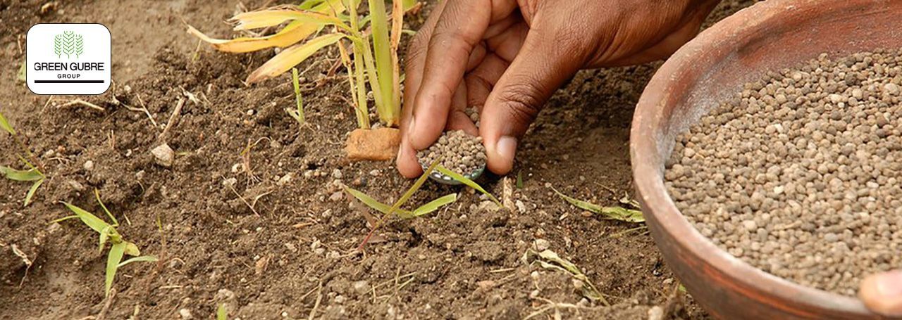 Fertilizer Micro-Dosing: A Game-Changer for Smallholder Farmers in Africa