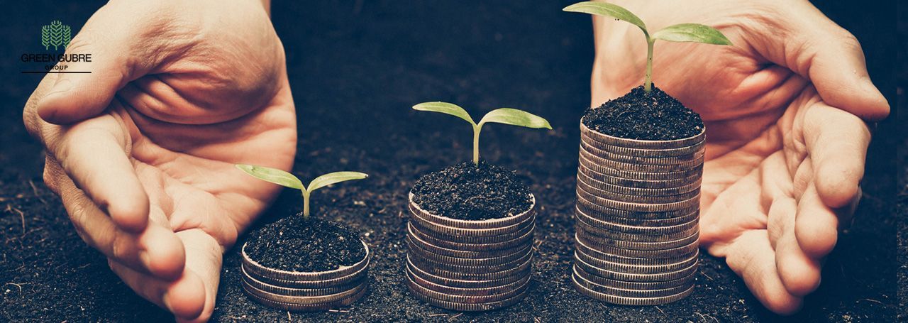 Eco-Friendly Resins: The Future of Sustainable Manufacturing