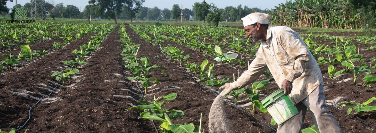 Maximizing Crop Yields in Africa with Urea Fertilizers