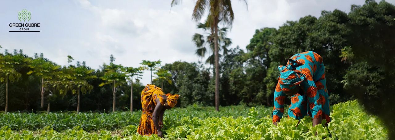 The Impact of Fertilizer Subsidy Programs in Africa