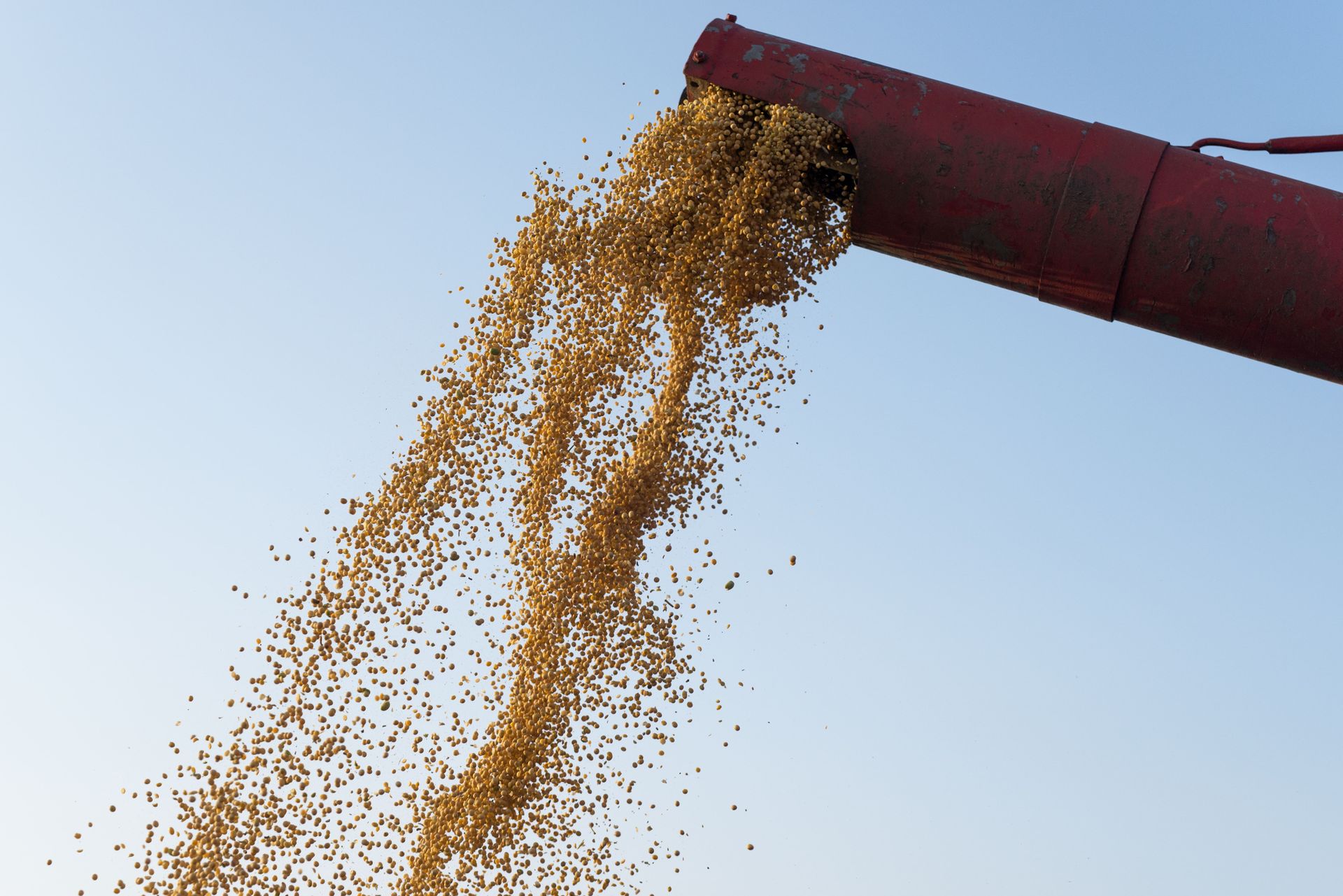 Urea and NPK in Latin America – Serving the Agricultural Giants of Brazil and Argentina