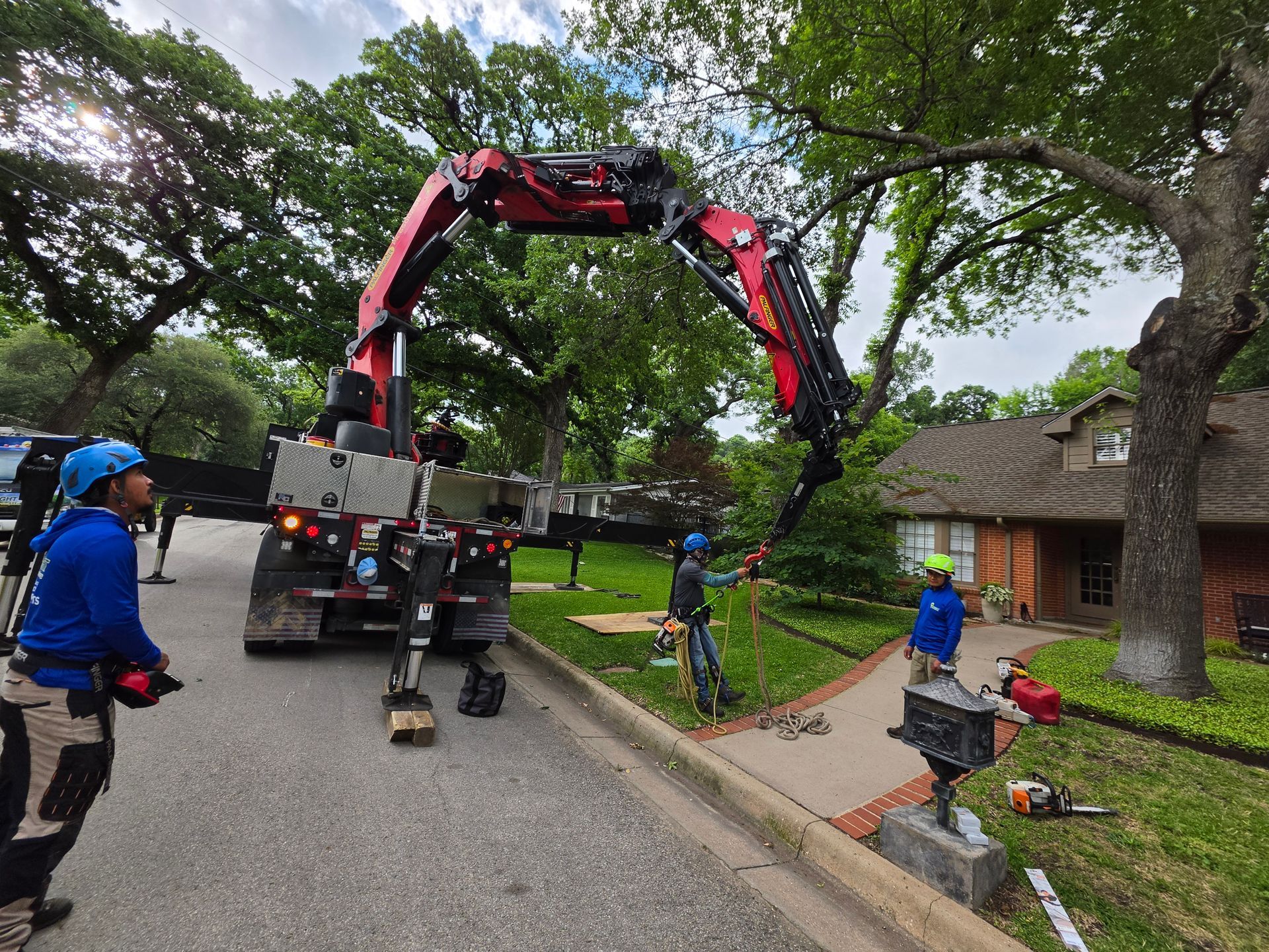 Tree maintenance project by Bright Tree Service