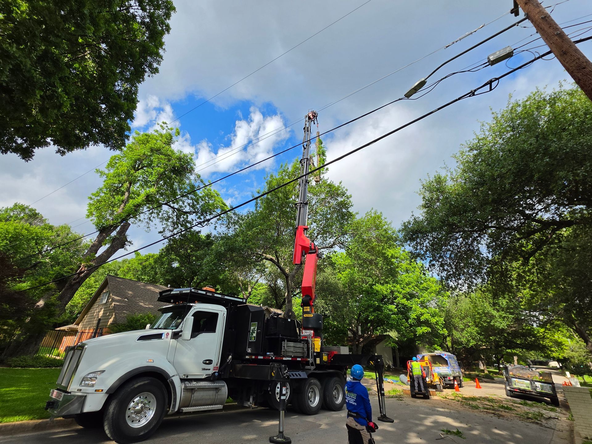 Recent Fort Worth tree service project