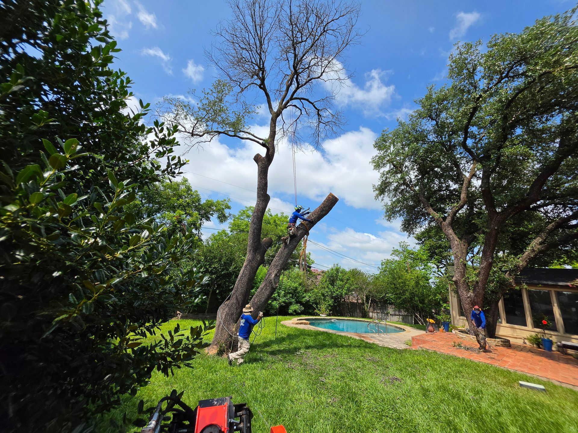 Recent Bright Tree Service project in the Fort Worth area