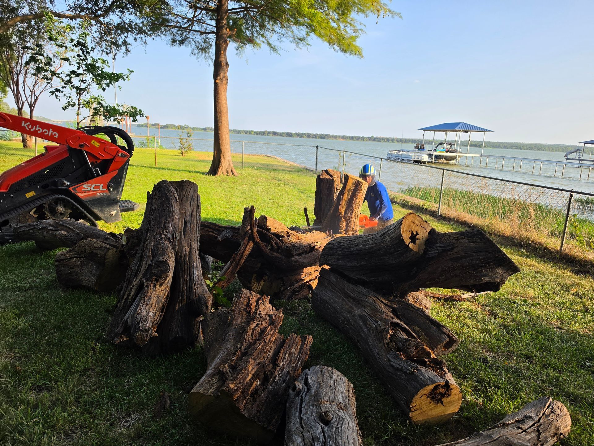 Recent tree care job completed by Bright Tree Service