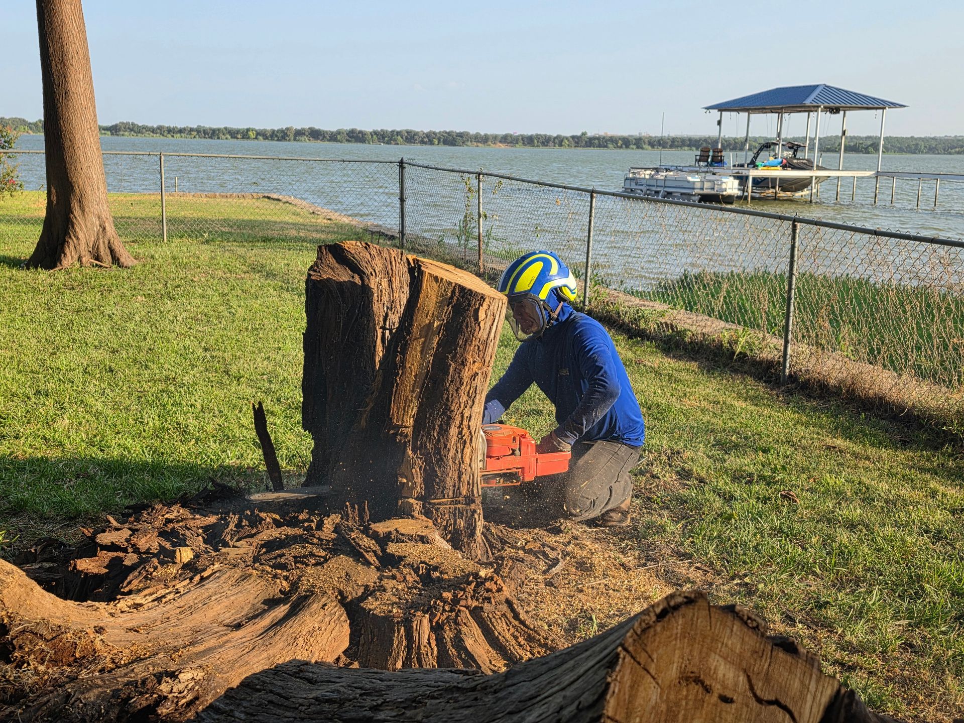 Bright Tree Service recent tree project