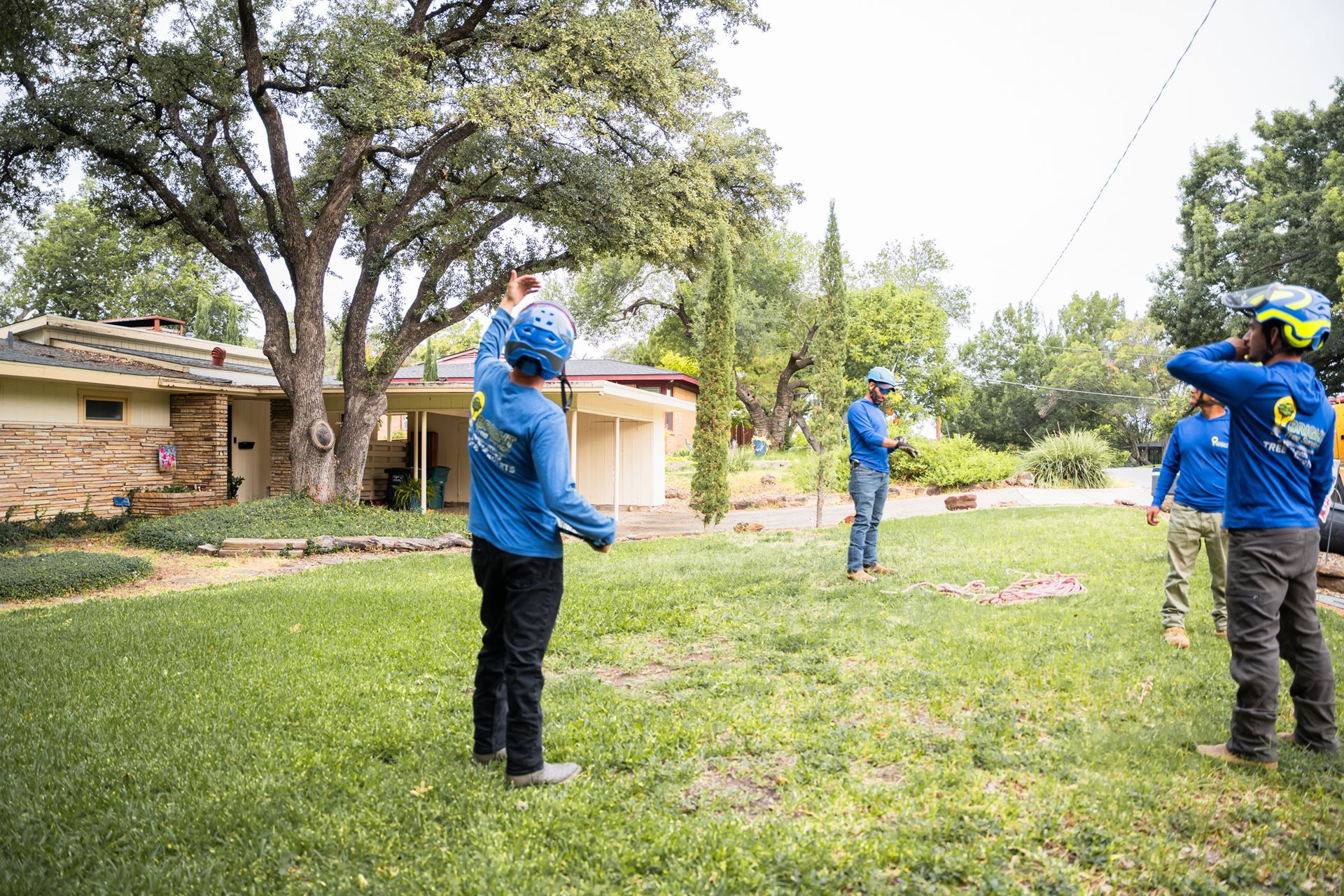 Bright Tree Service tree work in North Texas