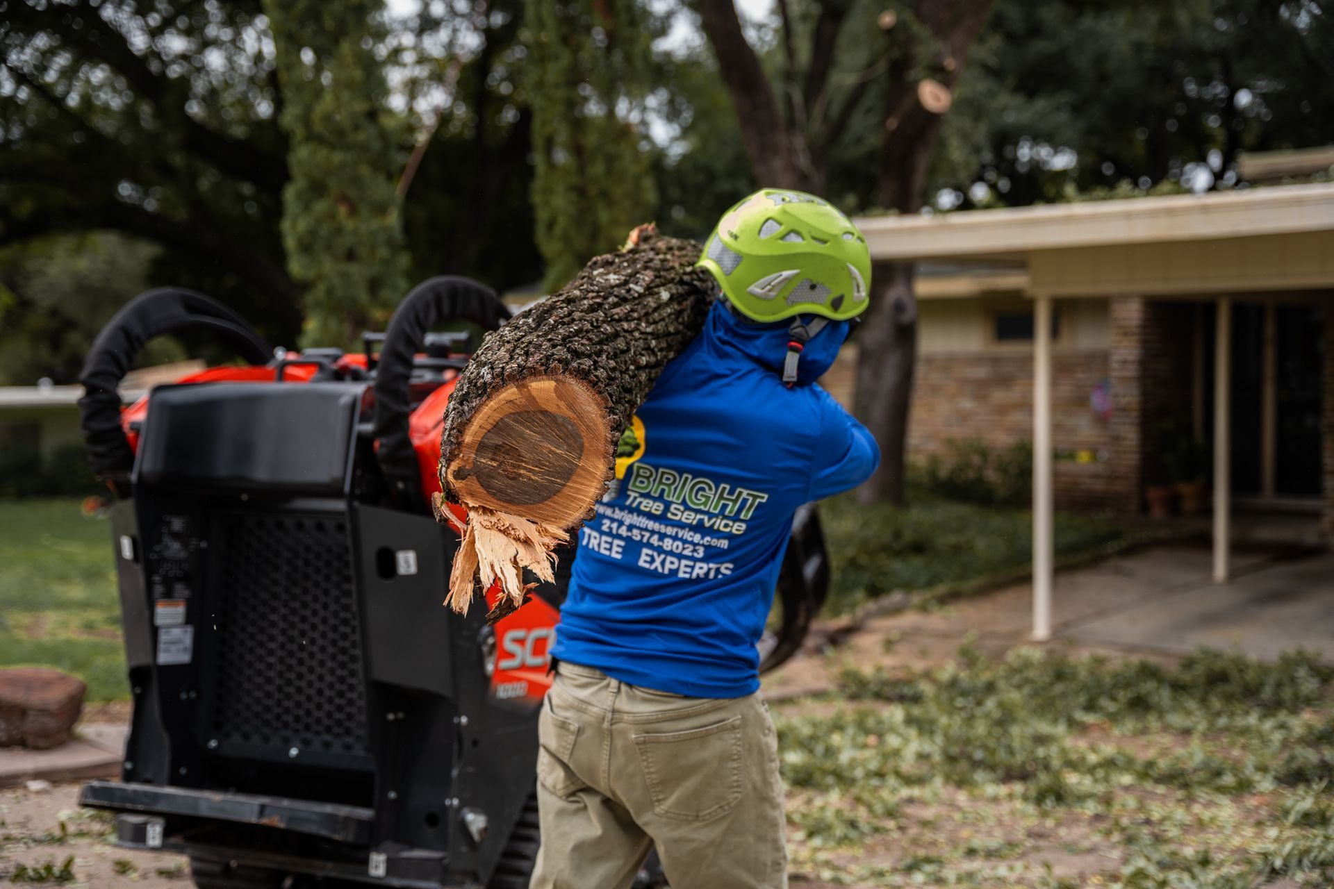 Fort Worth tree care job by Bright Tree Service