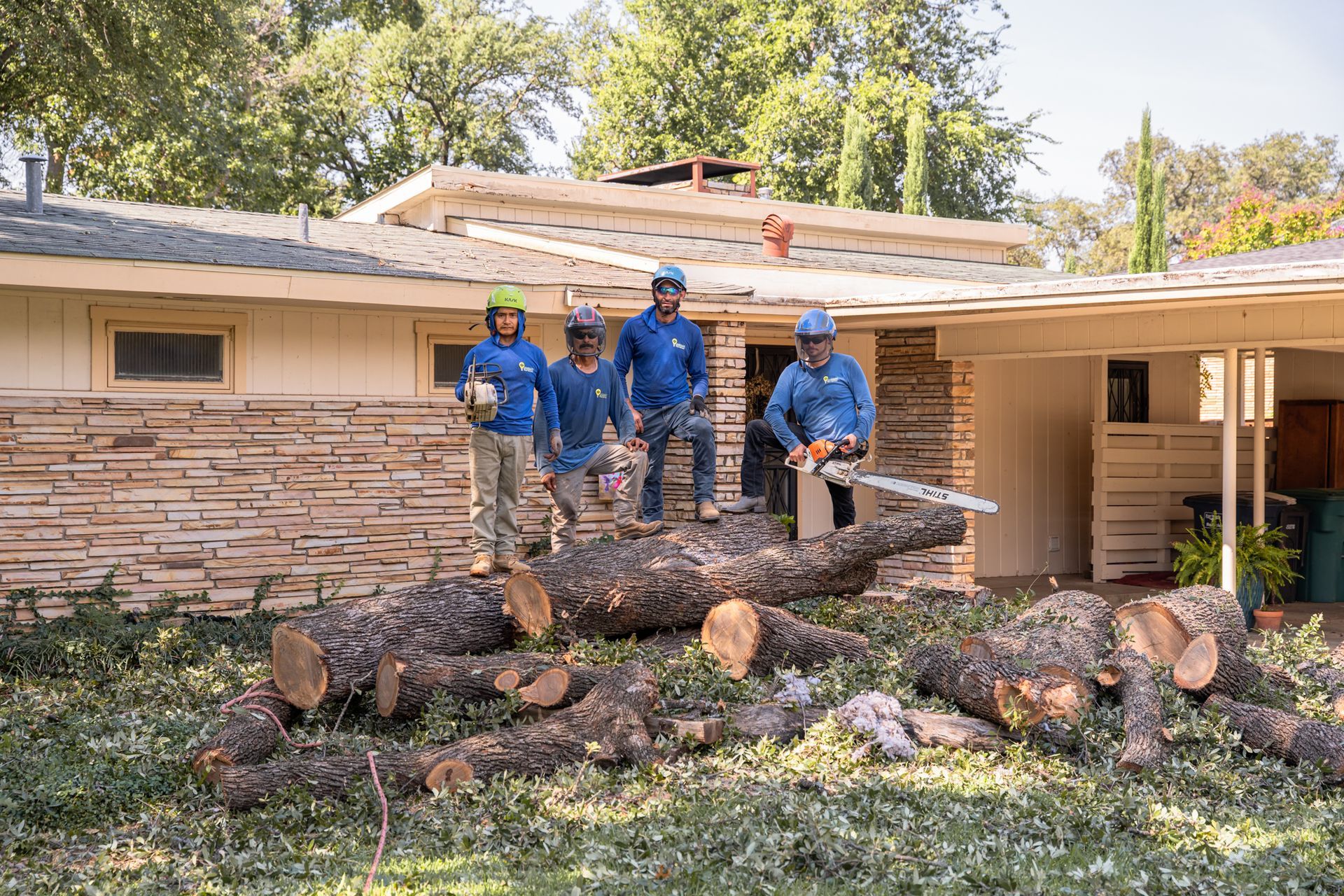 Bright Tree Service providing professional tree service in Fort Worth, TX