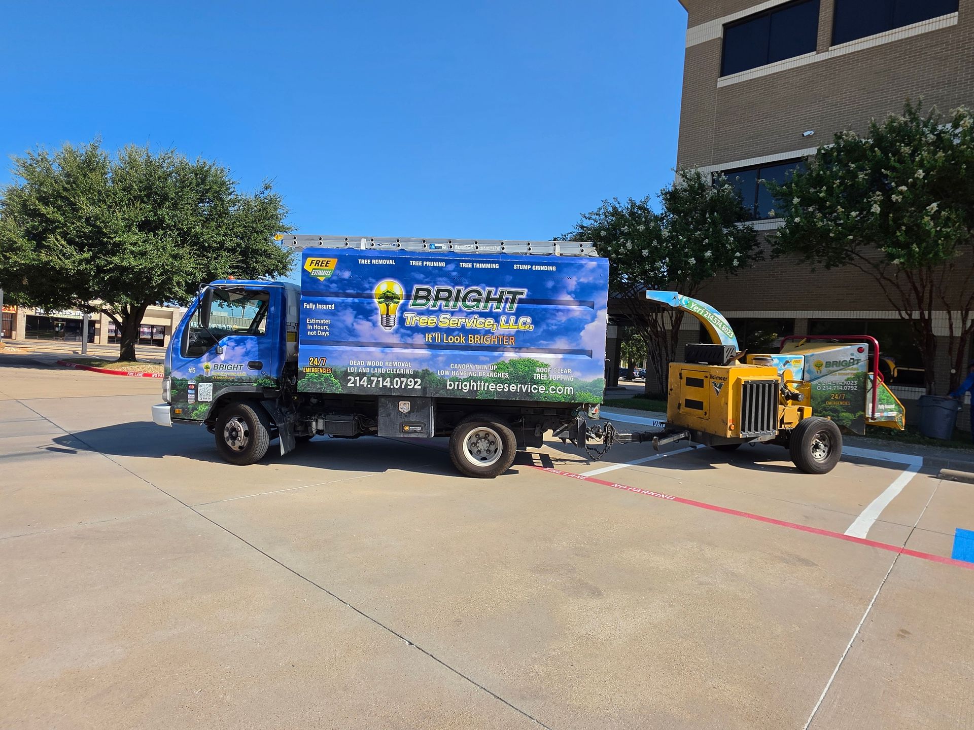 Tree Service in Fort Worth, TX by Bright Tree Service