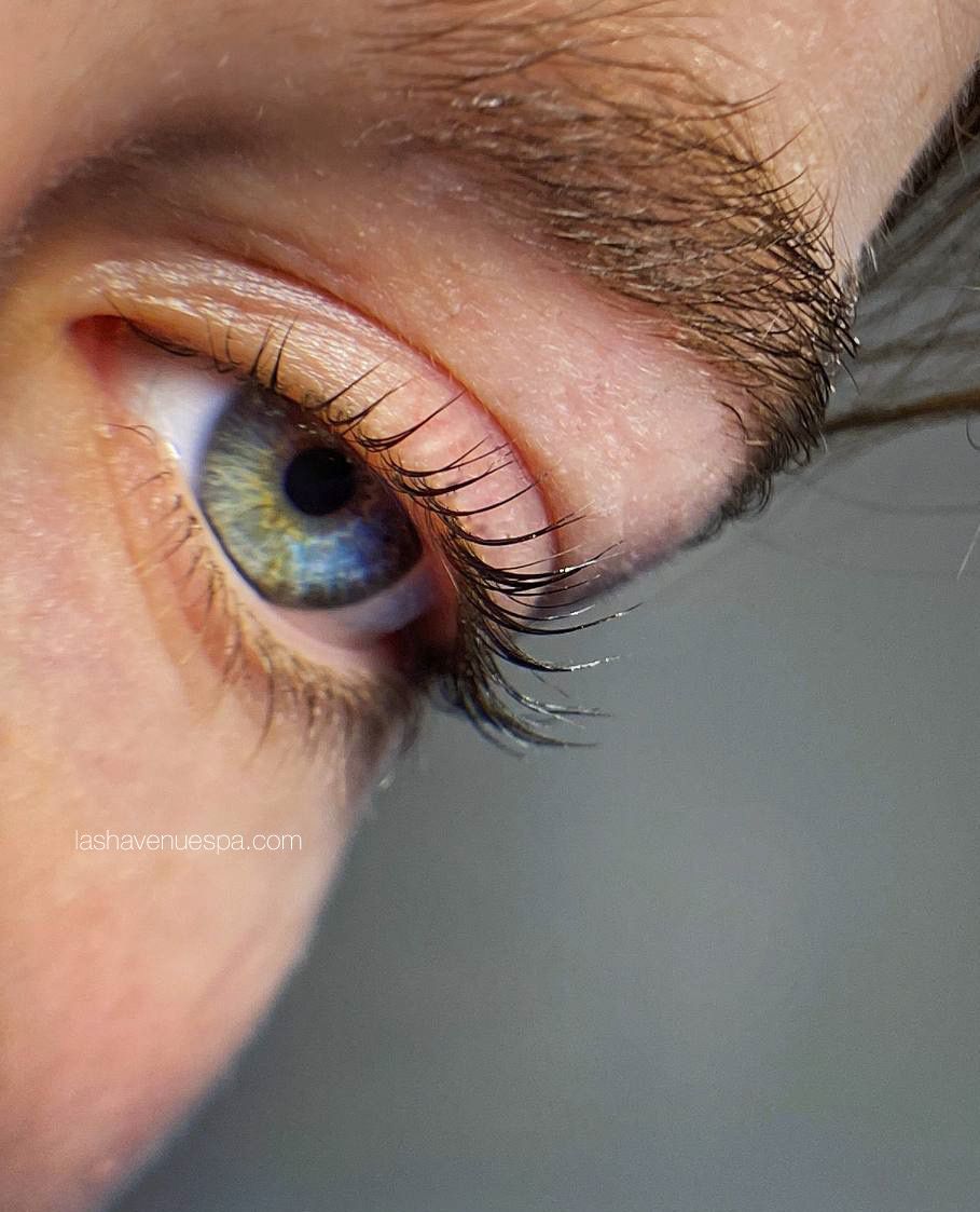Close-up of a blue-green eye with dark lashes and a defined eyebrow.