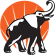 Elefante bianco e nero con proboscide sollevata, sfondo arancione con raggi di sole.