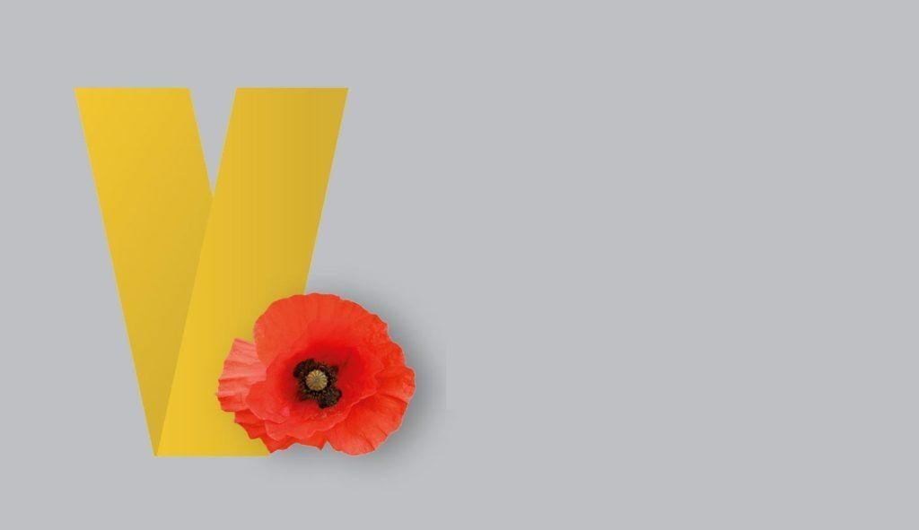 Yellow v With a Red Poppy — Tewantin Medical Centre In Tewantin, QLD