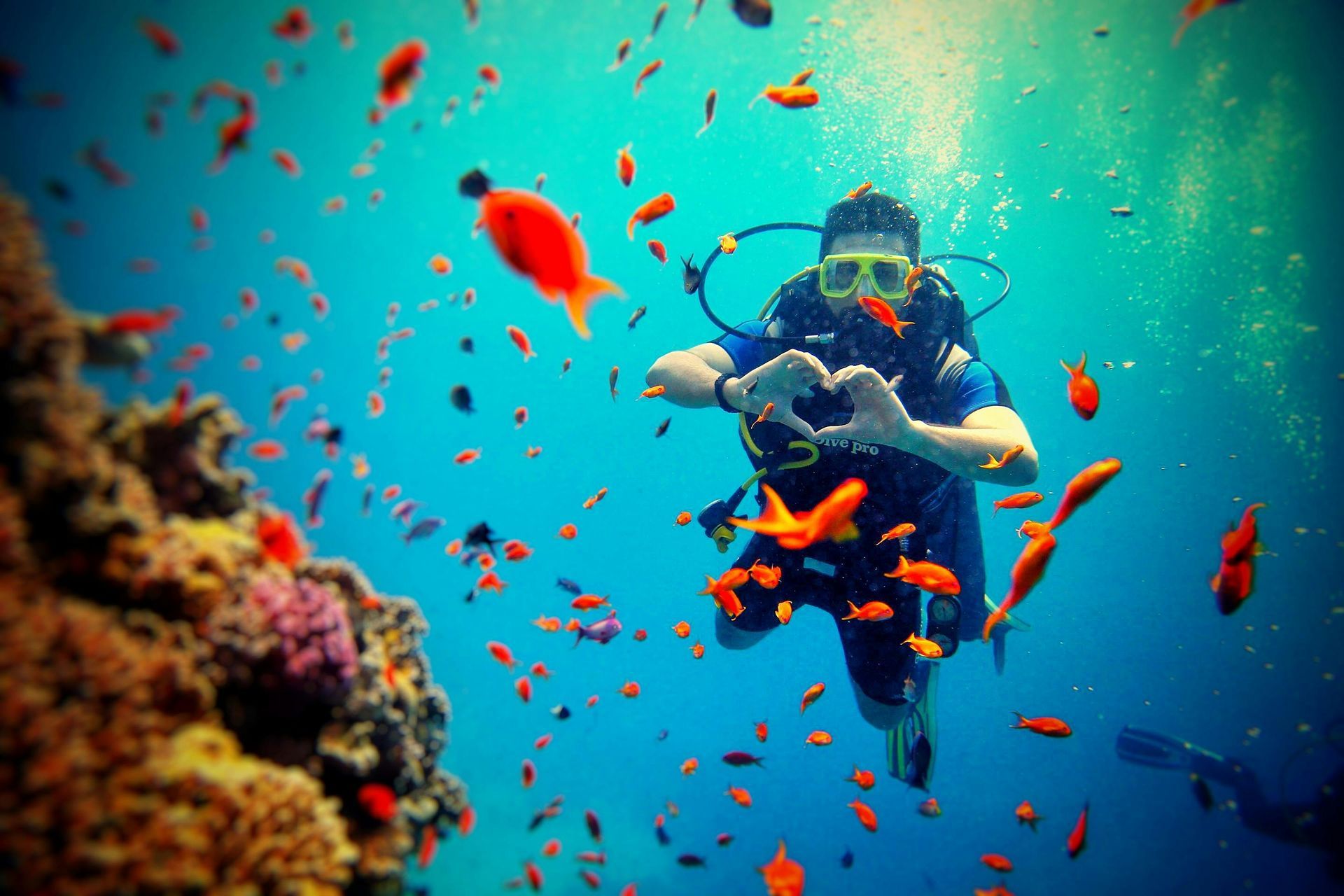 Scuba diver making a heart shape with hands underwater, surrounded by colorful fish and coral.