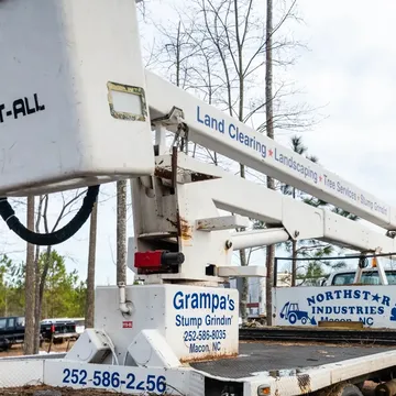 Tree Services