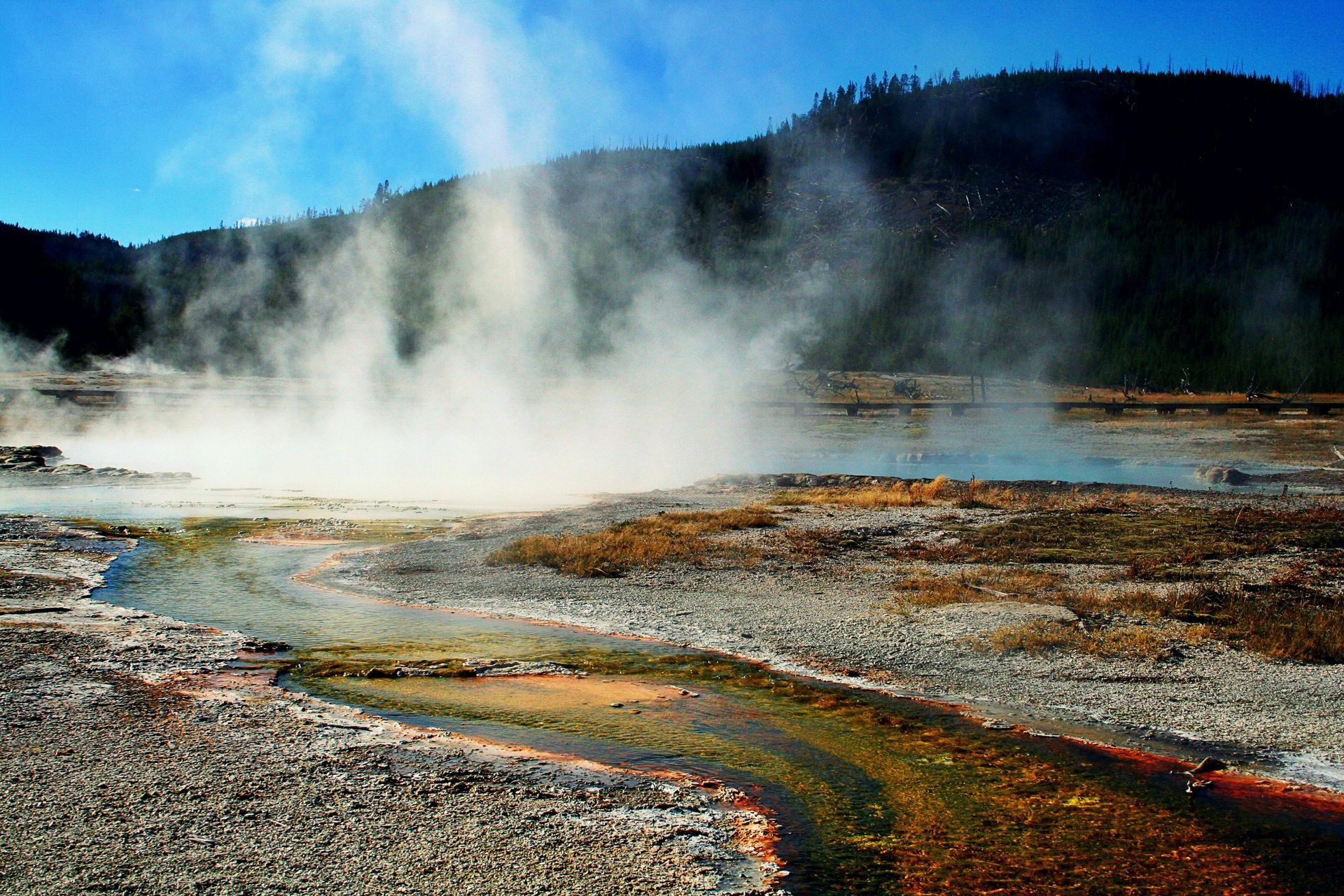 Steaming hot spring with mineral-rich, multicolored water and forested hills in the background