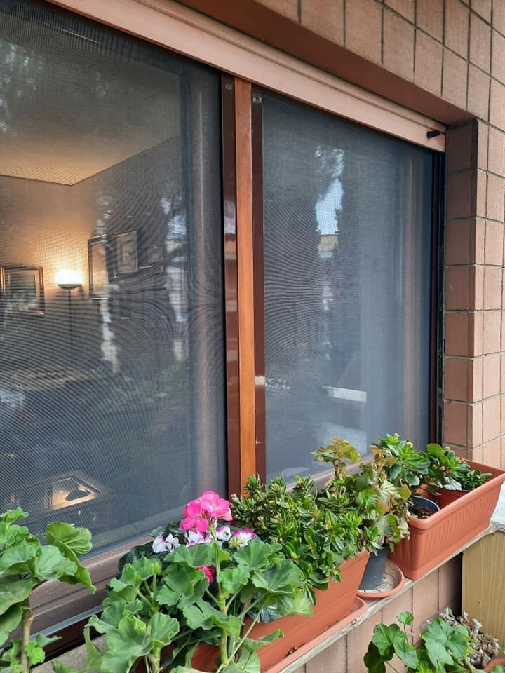 zanzariera finestra
