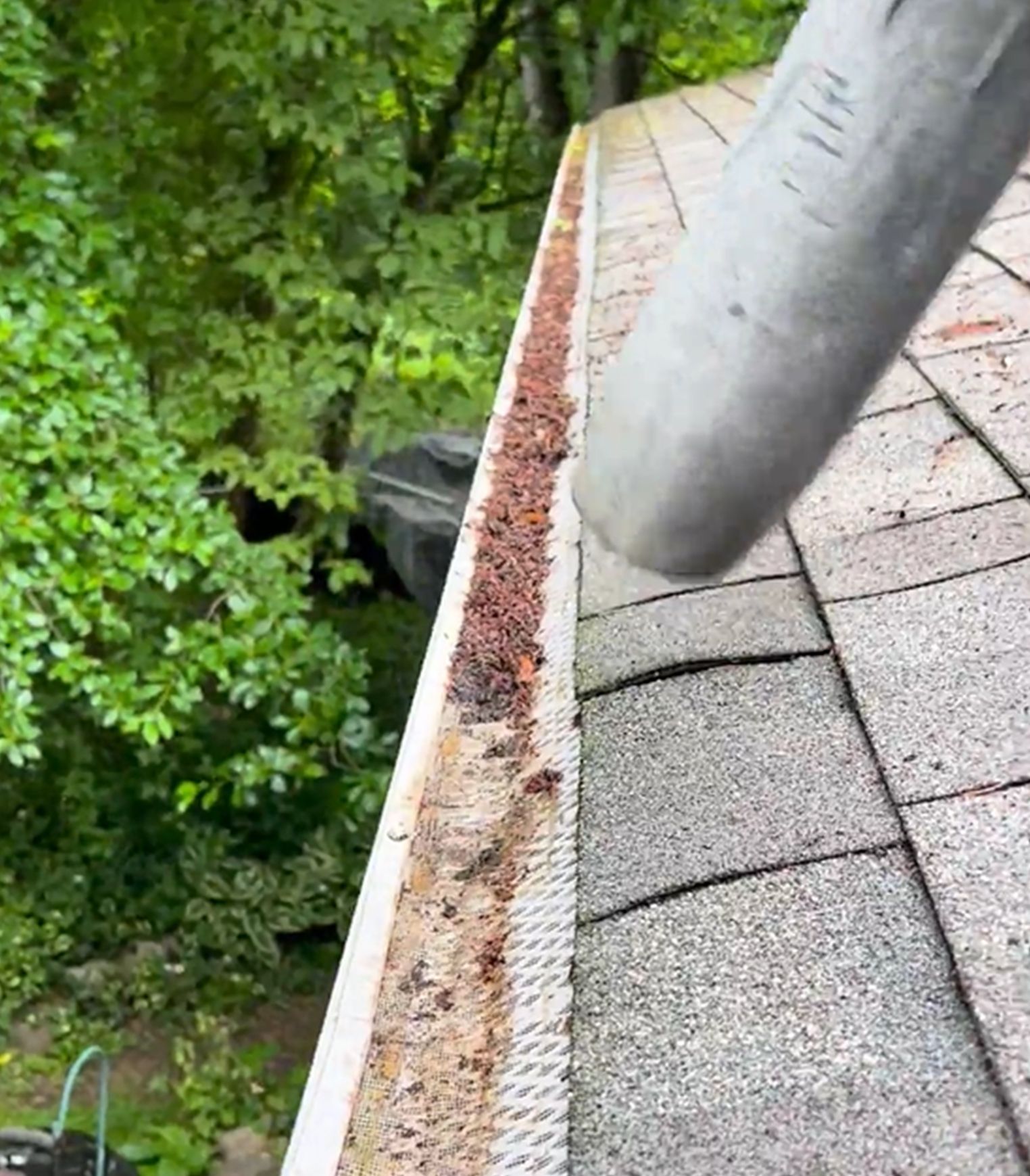 A vacuum nozzle cleans debris and sediment from a mesh gutter guard installed on a sloped shingle roof.