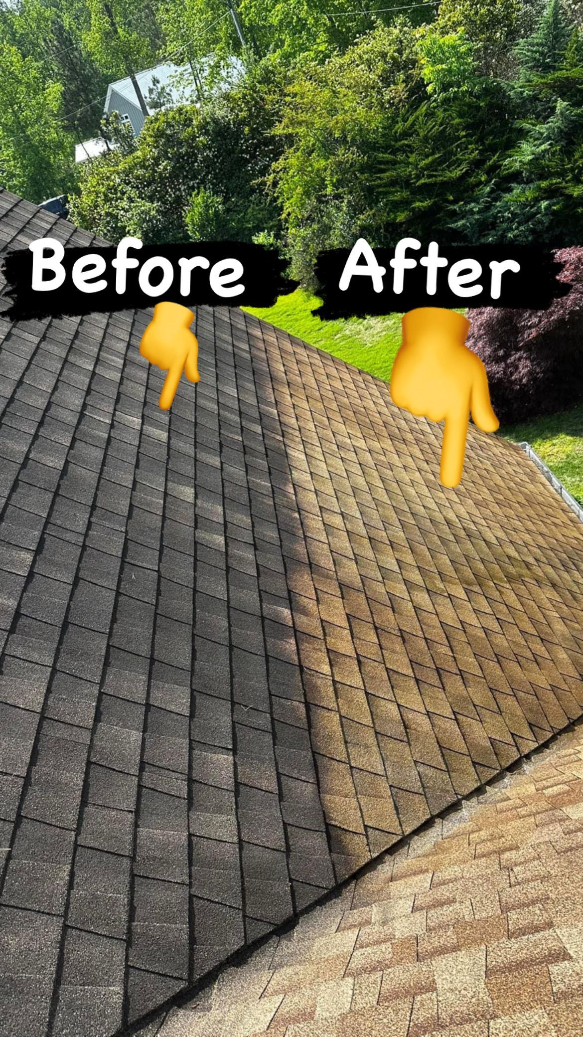 A side-by-side comparison of a roof showing a dark, dirty section before cleaning and a light, clean section after cleaning.