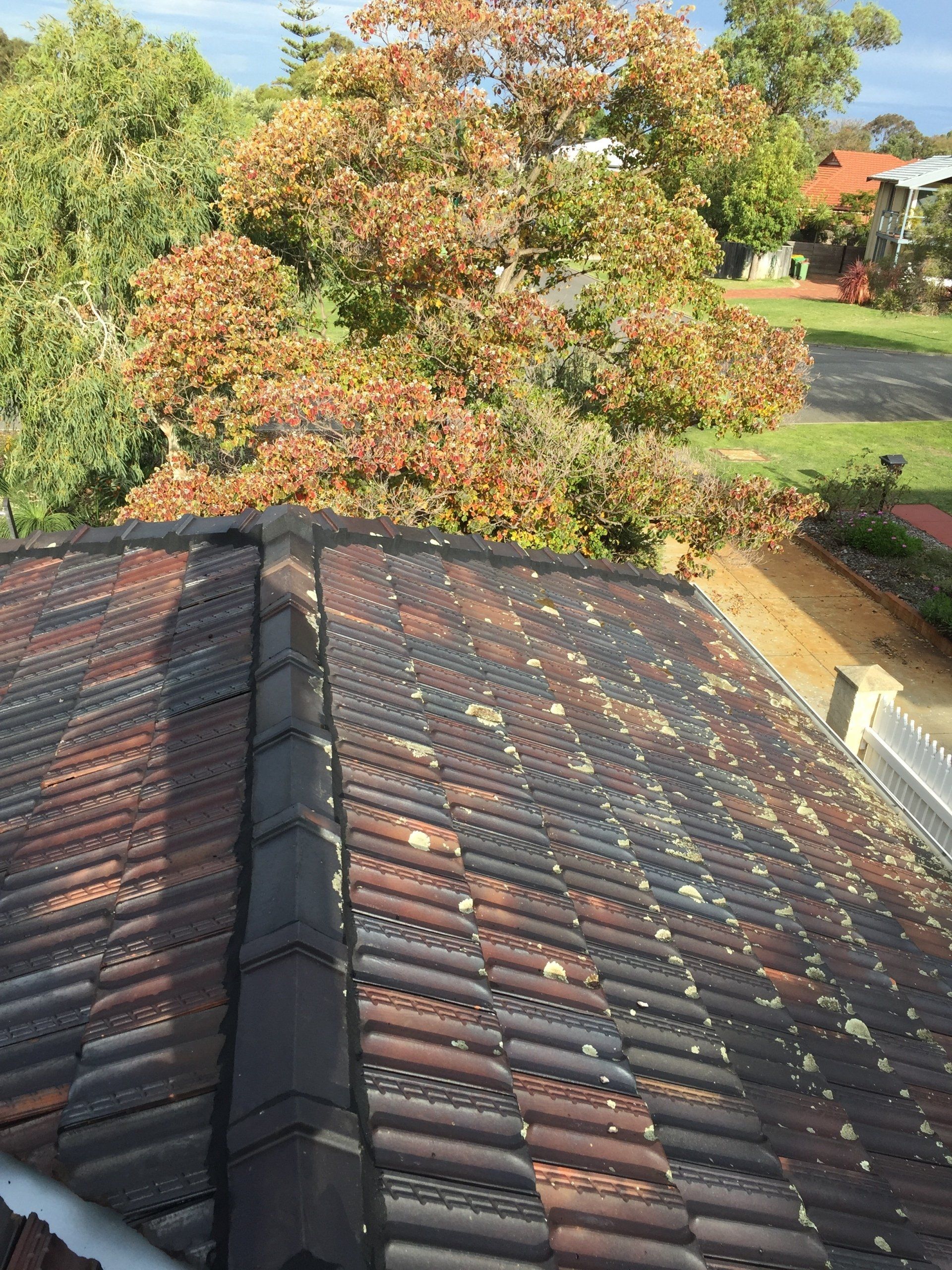 repoint ridge capping Perth