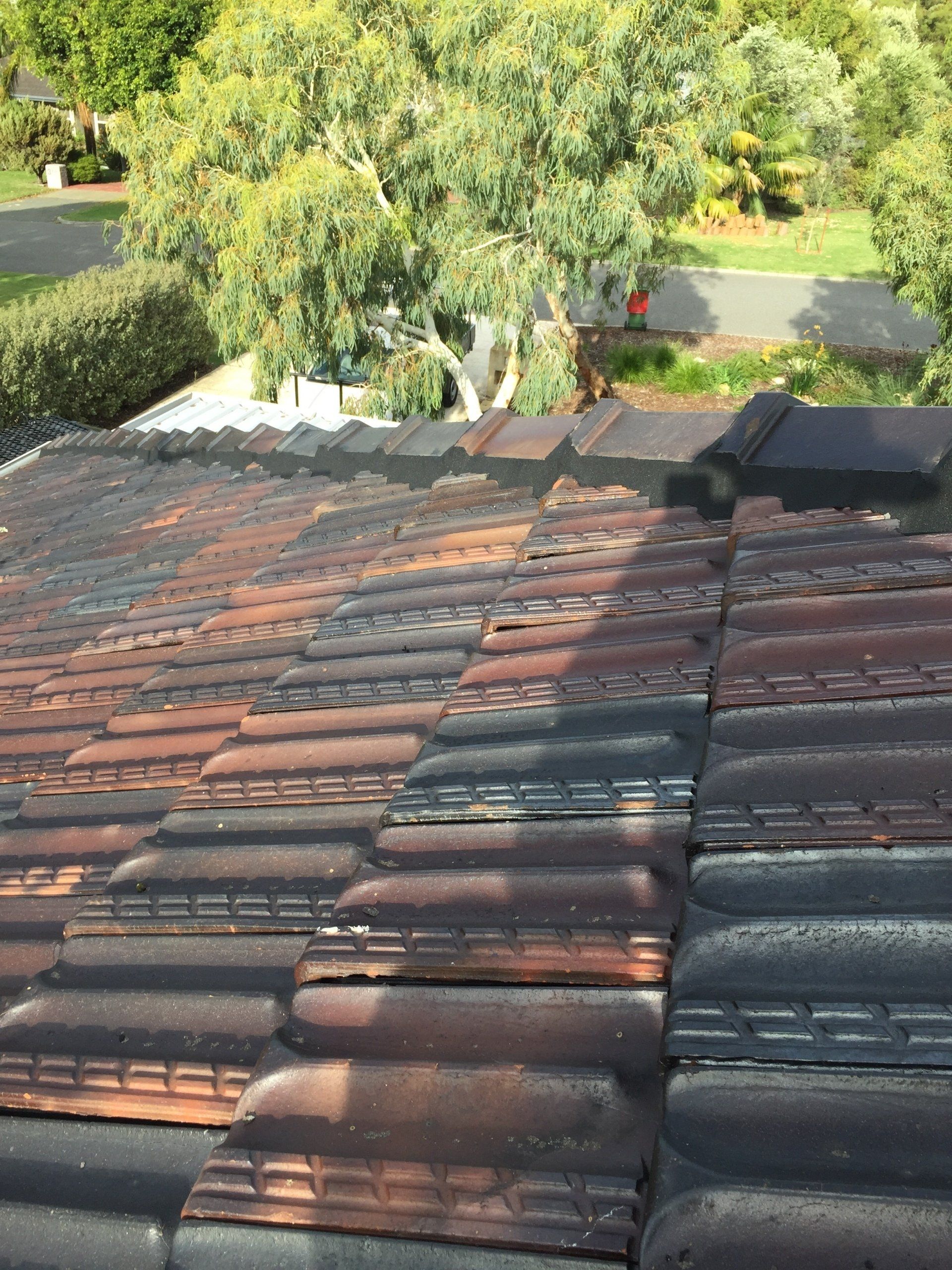 Roof repointing