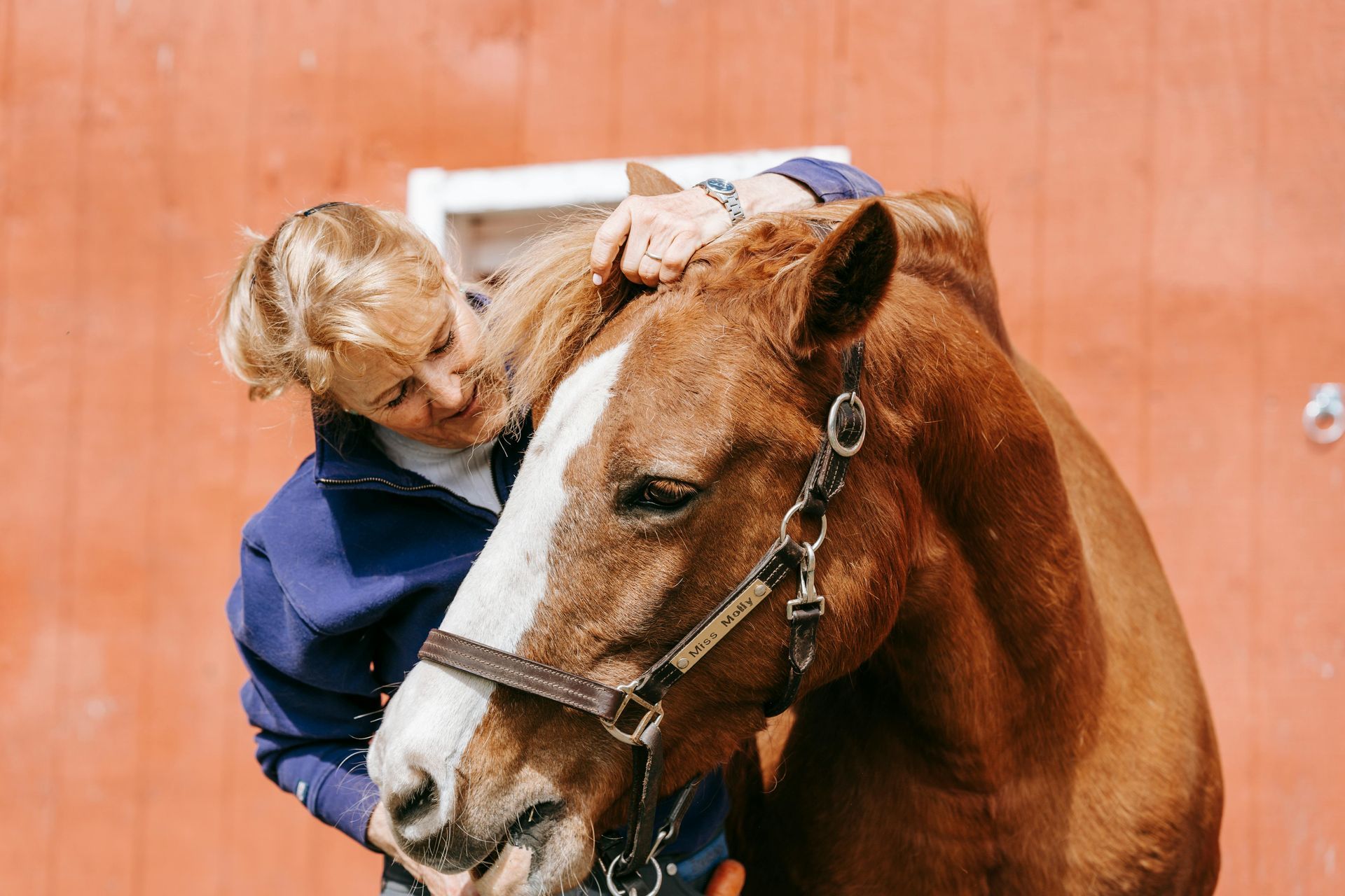 osteopaat paard