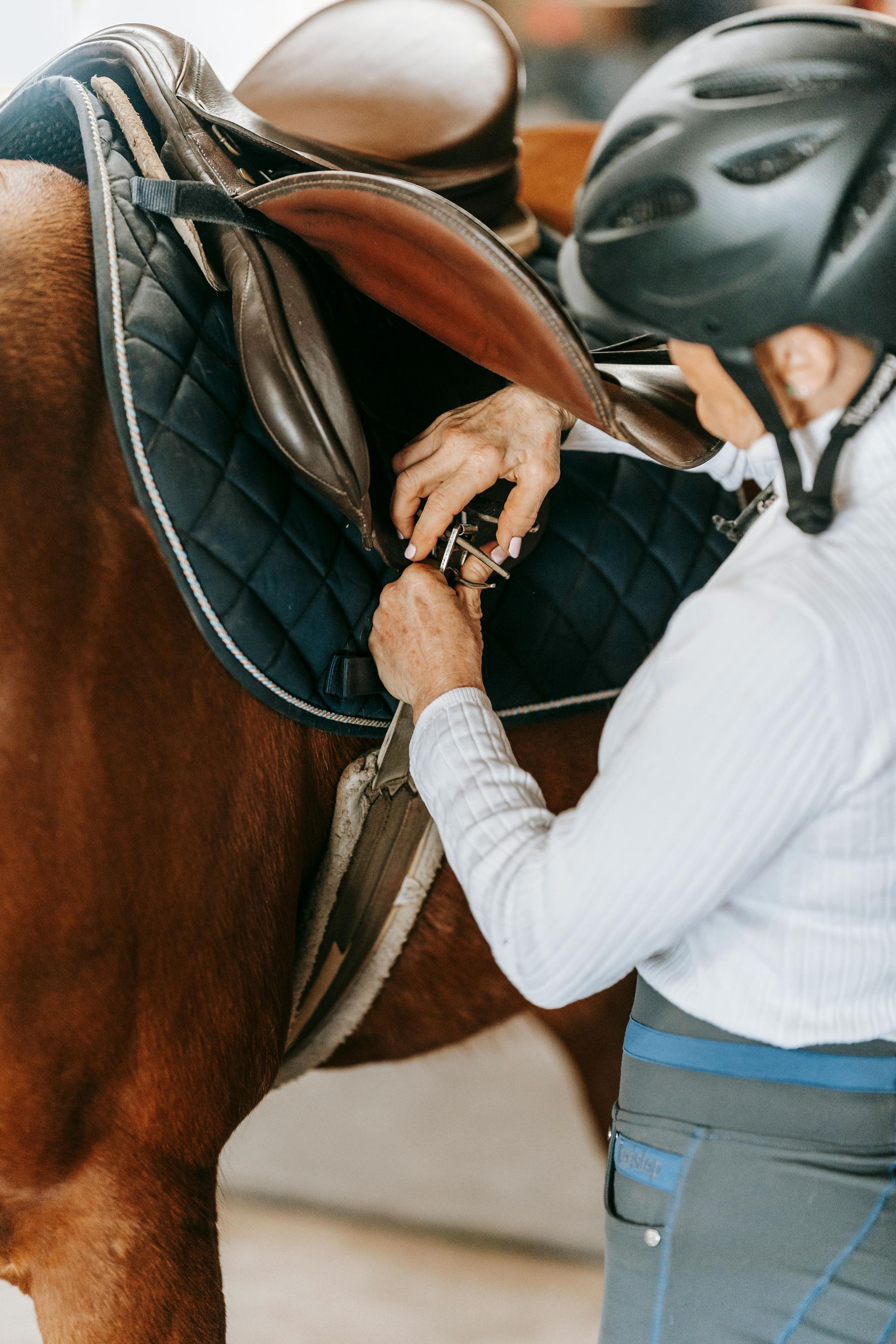 zadelmaker paard