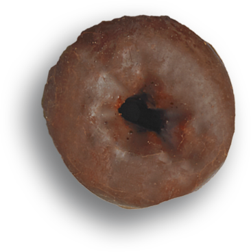 fudge round mini donut